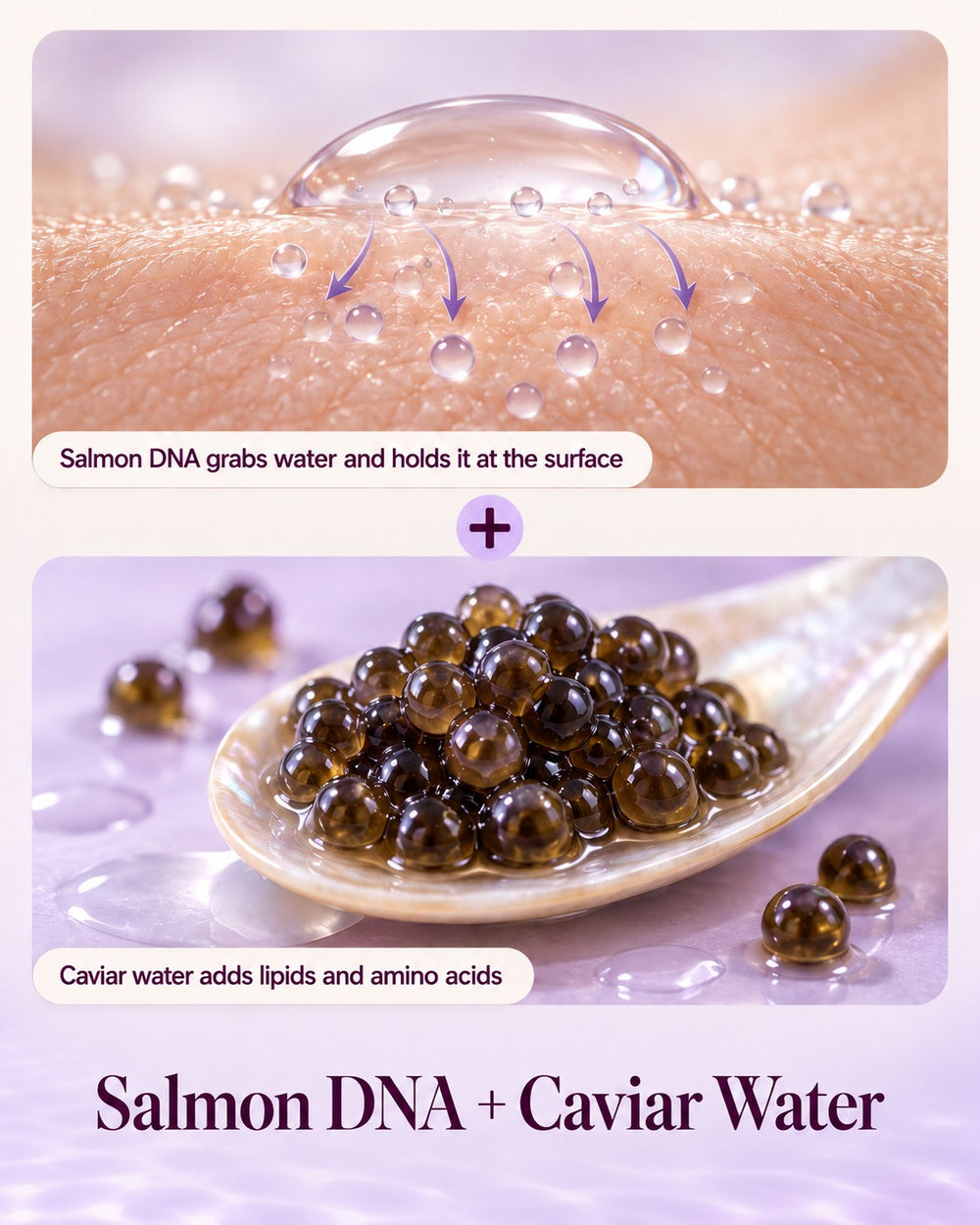 Salmon DNA holds water at the surface, plus caviar water